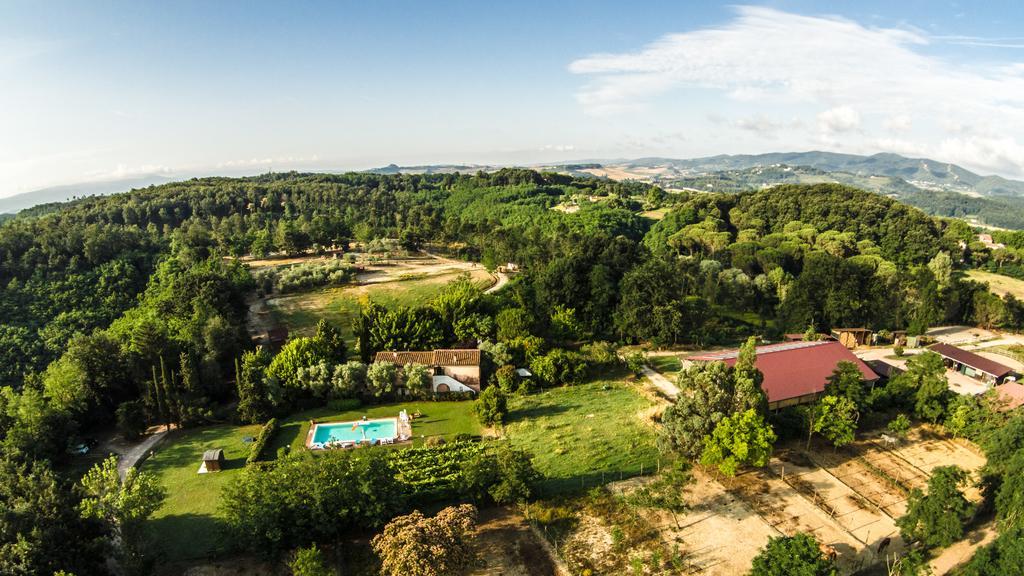Fioralice Pensionat Fauglia Rum bild
